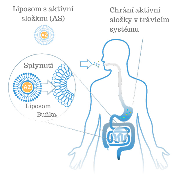 kolagendrink CZ liposomal 2